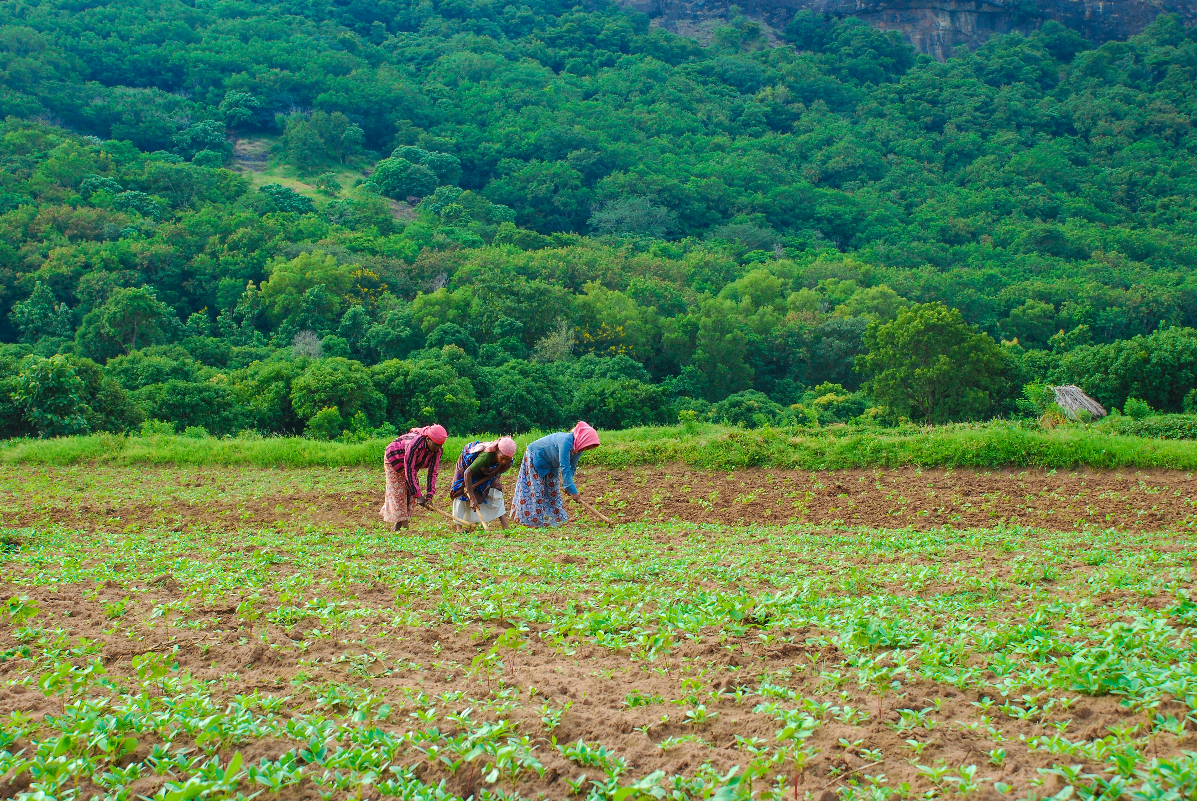 Embracing Green Jobs for a Sustainable Future